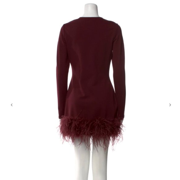 Lamarque Bahira Maroon Feather Crew Neck Mini Dress - Picture 3 of 3